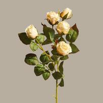 Dried Flower Fake Flower Artificial Small Rose Imitation Burnt Edge Silk Flower Living Room Table  Decoration balta
