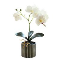 Dirbtinis vazoninis augalas Dirbtinis kandžių orchidėjų bonsas Staliniam kompiuteriui Dirbtiniai vazoniniai Phalaenopsis žiedai namų valgomojo stalui, biuro stalui dekoruoti balta