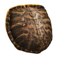 Nešiojama vėžlio kiauto lėlė-pagalvė 40 colių minkštas pliušinis nešiojamas pagalvėlė nusnūdimui patogus vėžlio kostiumo pagalvė Tortoise