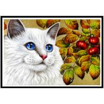 „Pasidaryk pats“ 5D deimantinė tapyba baltas katinas deimantinė tapyba gražus kačiukas visų kalnų krištolo paveikslai mozaika sienų dekoracija tapyba Full Round 20x30CM black