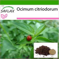 SAFLAX - Citrininis bazilikas - 200 sėklų - Su vazonų substratu geresniam auginimui - Ocimum citriodorum