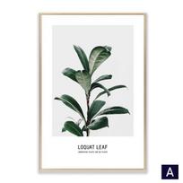 Žalio lapo plakatas drobės tapyba augalo sienų menas paveikslai svetainei natūralūs modernūs namų dekoratyviniai atspaudai ant sienos 21cm×30cm NoFrame white