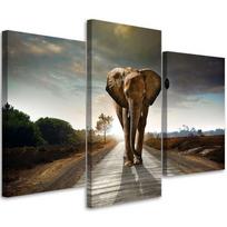 Three piece picture canvas print Elephant on the road 60x40 ruda