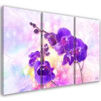 Trijų dalių paveikslo drobės atspaudas Violetinė orchidėjos gėlė 60x40 violetinė