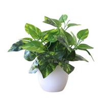 Fresh Artificial Foliage Plant Pot Bonsai Party Mall Home Desktop Office Decor 2