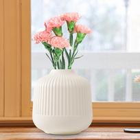 Flower Vase Bud Modern Plants Terrarium Ornaments Planter Pot for Indoor Holiday white