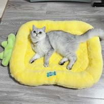 Mielas pūkuotas šunų lovos kilimėlis Minkštas naminių čiužinių sofa plius aksominė stora šuniuko pagalvėlė mažiems dideliems šunims katėms giliai mieganti katė 65x47CM gray
