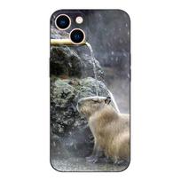 Black Tpu Case For oneplus 8 pro 8t 9 9R Nord 2 ce N10 N100 N200 4G 5G  Capybara ONEPLUS Nord 5G gray