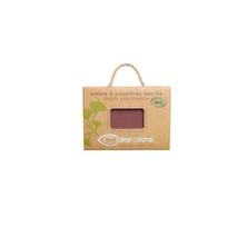 Couleur Caramel Caramel Sombra De Ojos N099 Pepite Cuivree Recarga 1un