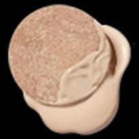 JUNGSAEMMOOL Master Class Radiant Cushion (main product + refill) [Main product + refill] N1 Ivory