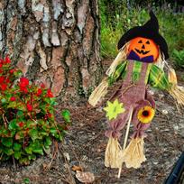 Helovino dekoravimas kaliausė Siaubo baro vakarėlis Haunted House Ornaments Rekvizitas One Size juoda