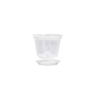 Vaisių orchidėjų vazonai Sodo auginimo namų dekoras Augalų plastikas 1pcs