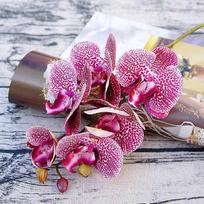 3D Mažas drugelis orchidėja 6 žiedai/puokštė Dirbtinė gėlė Namų užuolaidų sienos Vestuvių dekoracija Kalėdos Pasidaryk pats Dirbtinė Phalaenopsis pink