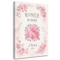 Canvas print, France Roses Flowers 40x60 rožinė