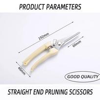 Stainless Steel Scissors Flower Cutting Flower Arrangement Pruning Fruit Tree Garden Branch Cutting Household Grafting