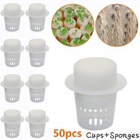 50pcs Vegetable Net Cups Cylinders Sponge Mesh Pot Cloning Plant Net Cups. beige