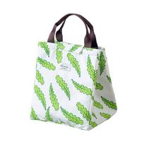ple Pattern Large Insulated Carrier Bag Thermal Picnic Tote Lunch Bags Outdoor Camping Handle Pouch white
