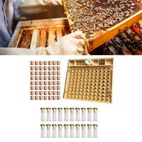 Bitininkystės įrankis 120 vnt. plastikinių korių ląstelių bičių puodelių motinėlės auginimo rinkinys auginimo dėžė CHINA