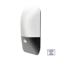 PIRUS outdoor wall light with detector 12W LED 3000K IP54 pilka