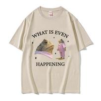 What Is Even Happening Funny Frog Meme T-Shirts Women Unisex Fashion Casual Short Sleeve T Shirt Cozy Cotton Oversized T-shirt Tops 4XL smėlis