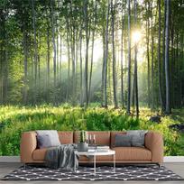 3D Žalio Miško Sienų Tapybos Gamtos Peizažai Sienų Tapybos Svetainės Miegamojo Miško Tapetai Namų Dekoras 200 cm(W) x 140 cm(H) beige