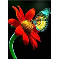 Full 5D Diy Diamond Painting Sun Flower Butterfly Embroidery Cross Stitch Home Decor Handmade Gift 25x30cm red