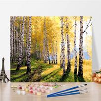 Menas „Pasidaryk pats“ Tapyba pagal skaičius Deimantinė tapyba Pomėgiai Aliejinė tapyba Namų dekoras Skaitmeninis aliejinis paveikslas Tapyba skaičiais 40x50cm no frame yellow