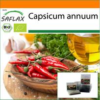 SAFLAX Sodas maišelyje – Ekologiški – Aitri čili pipirai – De Cayenne Long Slim – 10 sėklų – Su substratu tinkamame stovimame maišelyje – Capsicum annuum