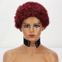LISI HAIR Raudoni sintetinio pluošto trumpi perukai Trumpi garbanoti perukai Afrikos moterims Garbanoti perukai, skirti Cosplay kasdieniam dėvėjimui brown