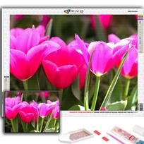 5D DIY Deimantinė tapyba Kryželiu Gėlės Tulpės Deimantinė siuvinėjimo mozaika Sienų menas Namų dekoravimas Full Round 20X30CM red