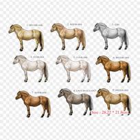 Fjord Horse American Quarter Horse Iron on Heat Transfer Printing Vinyl Patches Sticker for Clothes DIY Appliques Washable Patches gray