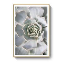 Freash Succulent Green Plant Dining Room Decoration Canvas Painting Modern Plant Hotel Home Decoration Hanging Wall Art Paris 21*30cm