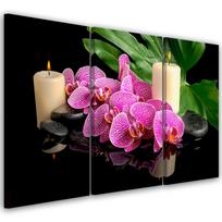 Trijų dalių paveikslo drobės spaudas Orchidėja Orchidėja Žvakės 60x40 violetinė