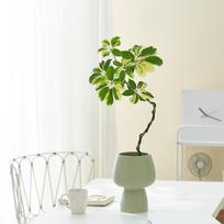 Ceramic Plant Pot Flower Shelf Decoration Modern Planter Vase for Living Room Balcony žalia