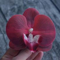 8,5 cm orchidėjų plaukų segtukas moteriai, dirbtinių gėlių segtukai, mielos vestuvių šventės plaukų aksesuarai, dovanos gray