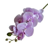 Dirbtinių drugelių orchidėjų gėlių puokštė Phalaenopsis vestuvių namų Romos dekoras šviesiai violetinė spalva