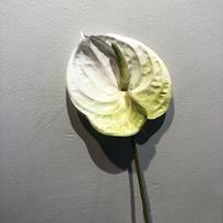 57CM Plastic Fake Single Stem Anthurium Artificial Anthurium Artificial Flowers balta