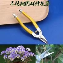 Genėjimo žirklės Sodo ir sodo rankiniai įrankiai Bonsai žirklės Sodo mašinos Genėjimo žirklės Vejapjovė large scissors