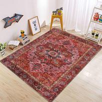 Galore Oriental Terracotta Beige Boho Area Rug Aesthetic Floral Carpets for Living Room Doormat for Outdoor Indoor Floor Decor 40X60cm-16x24in