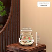 Skaidrus apvalus stalo akvariumas auksinėms žuvytėms ar vėžliams, tinkamas namams ar biurui. Mini round fish tank, diameter 13cm beige