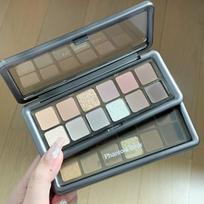 Phantom Bear Haze 12-Color Eyeshadow Palette: Earth Tones in Gray, Matte, Pearlescent, and Diamond Finishes cement plate pilka spalva