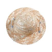 Naminio gyvūno sombrero šiaudinė skrybėlė mini šuns apsauginė nuo saulės skrybėlė su gėle reguliuojama Havajų saulės kibirėlio kepurė vasaros paplūdimio skrybėlė mažiems vidutiniams šunims katėms D