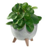 KADAX Flowerpot Flower Pot Cover + Insert Legs Flower Stand 24 cm juoda