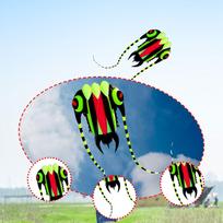 Trilobite Kite Huge Flyer Polyester Creative Animal Themed Soft Parafoil for Kids Adults