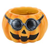 Resin Pumpkin Planter Pot Succulent Planter Cute Pumpkin Face Planter Orange Pumpkin Vase for