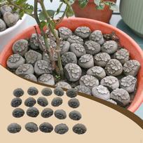 20 Pieces Potted Plant Topping Stones Decorative Rocks for Planters Small Artificial Indoor