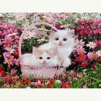 Deimantinis paveikslas Daisy gėlės ir katės deimantinis siuvinėjimas paveikslėlis Kalnų krištoliniu dygsniu Dekoras Pradžia 20X30CM gray