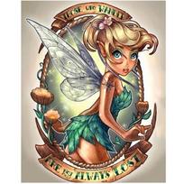 5D „pasidaryk pats“ deimantų piešimas animacinis filmas „Elf Girl“ Siuvinėjimas kryželiu namų dekoras, rankų darbo dovana 25x30cm gray