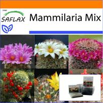 SAFLAX - Sodas maiše - Mammillaire Mix - 40 sėklų - Su substratu tinkamame stovimame maišelyje - Mammilaria Mix
