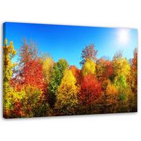 Canvas print Colourful Forest Autumn Landscape 60x40 įvairiaspalvis